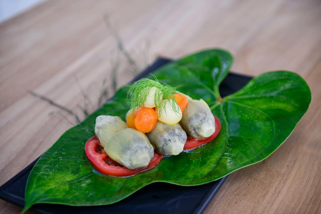 The Lifeco Antalya Well-Being Detox Center And Vegan Hotel Buitenkant foto