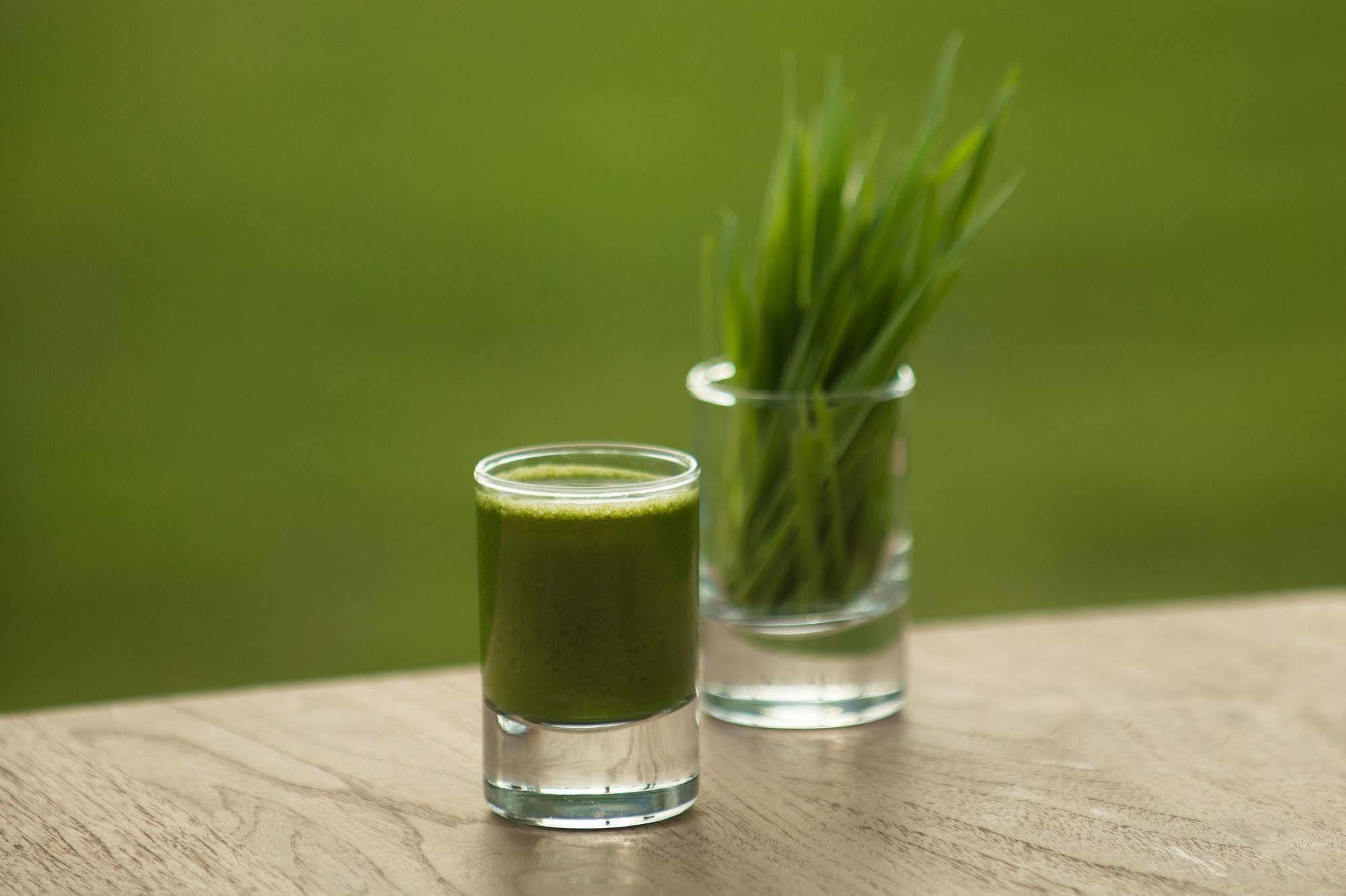 The Lifeco Antalya Well-Being Detox Center And Vegan Hotel Buitenkant foto